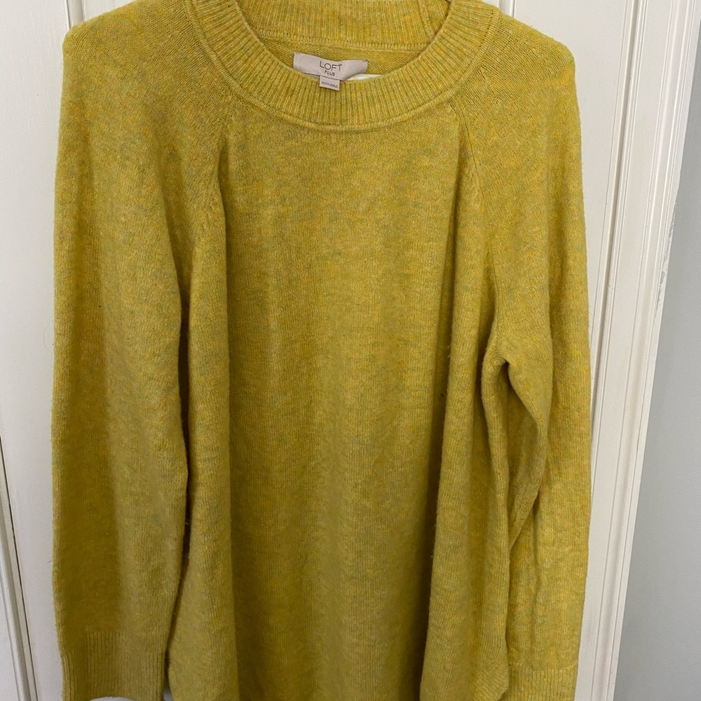 Plus size Loft sweater